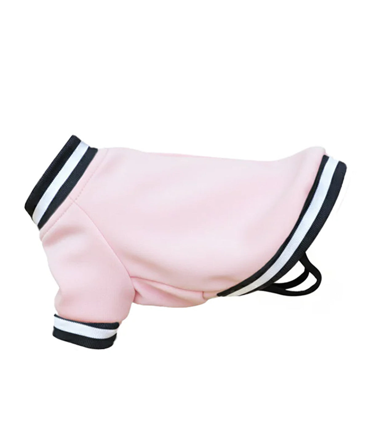 Portman & Pooch Dog’s varsity jacket
