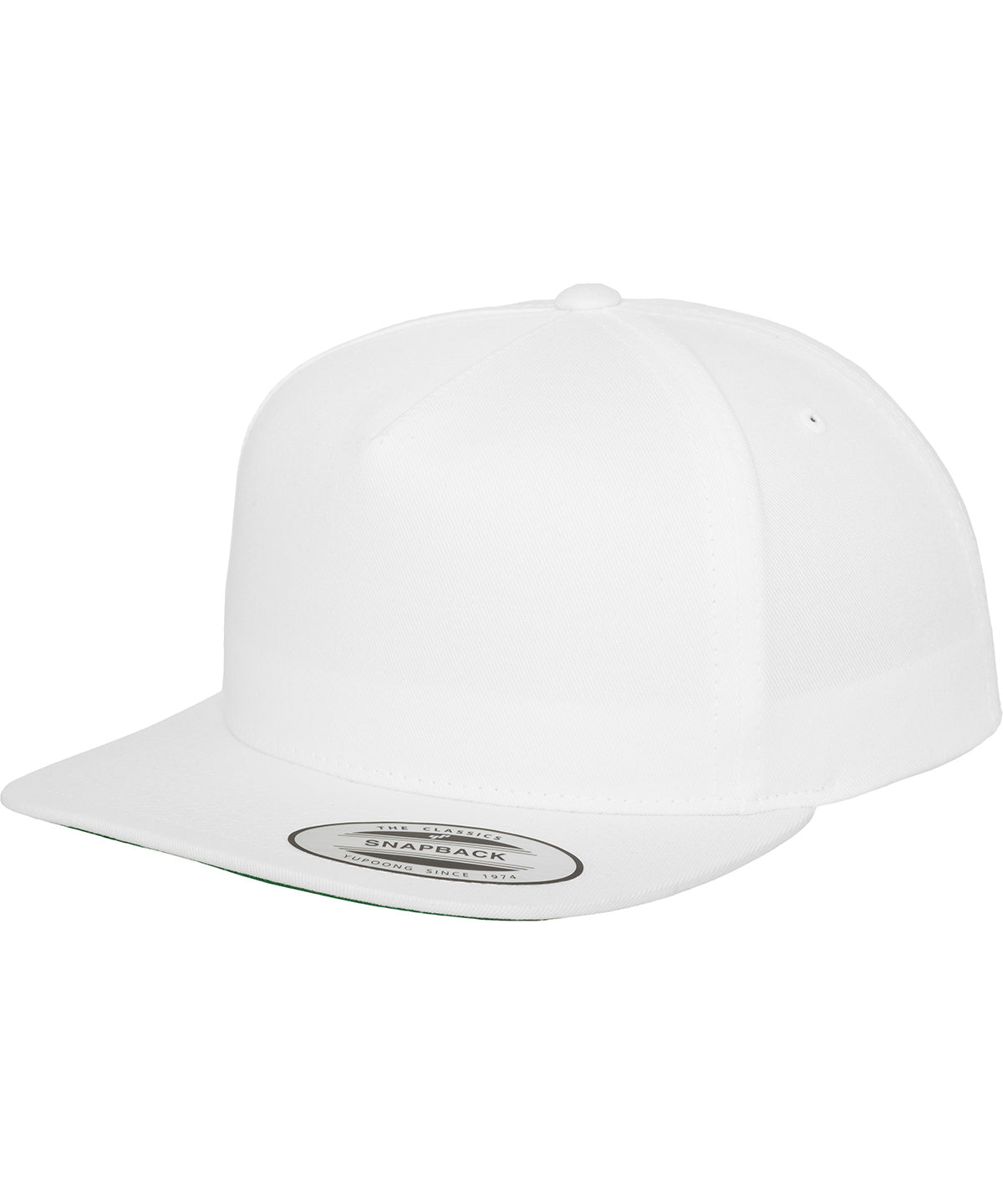 Flexfit by Yupoong Classic 5-panel snapback (6007)