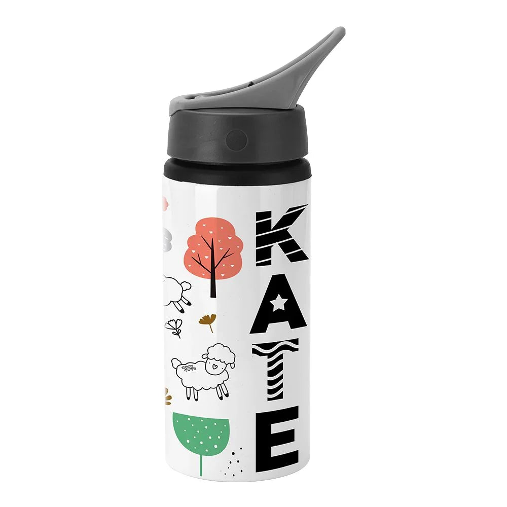 Portable Aluminium Bottle