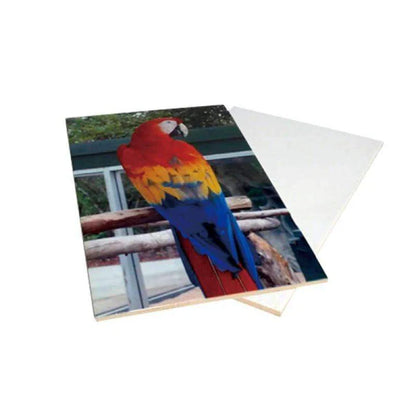 Ceramic Photo Tile