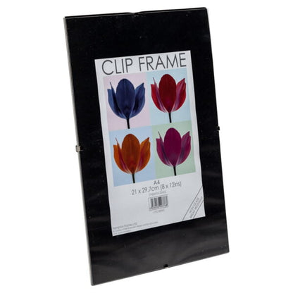 Clip frame profile