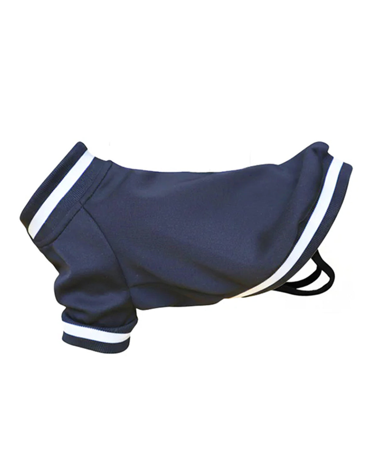 Portman & Pooch Dog’s varsity jacket