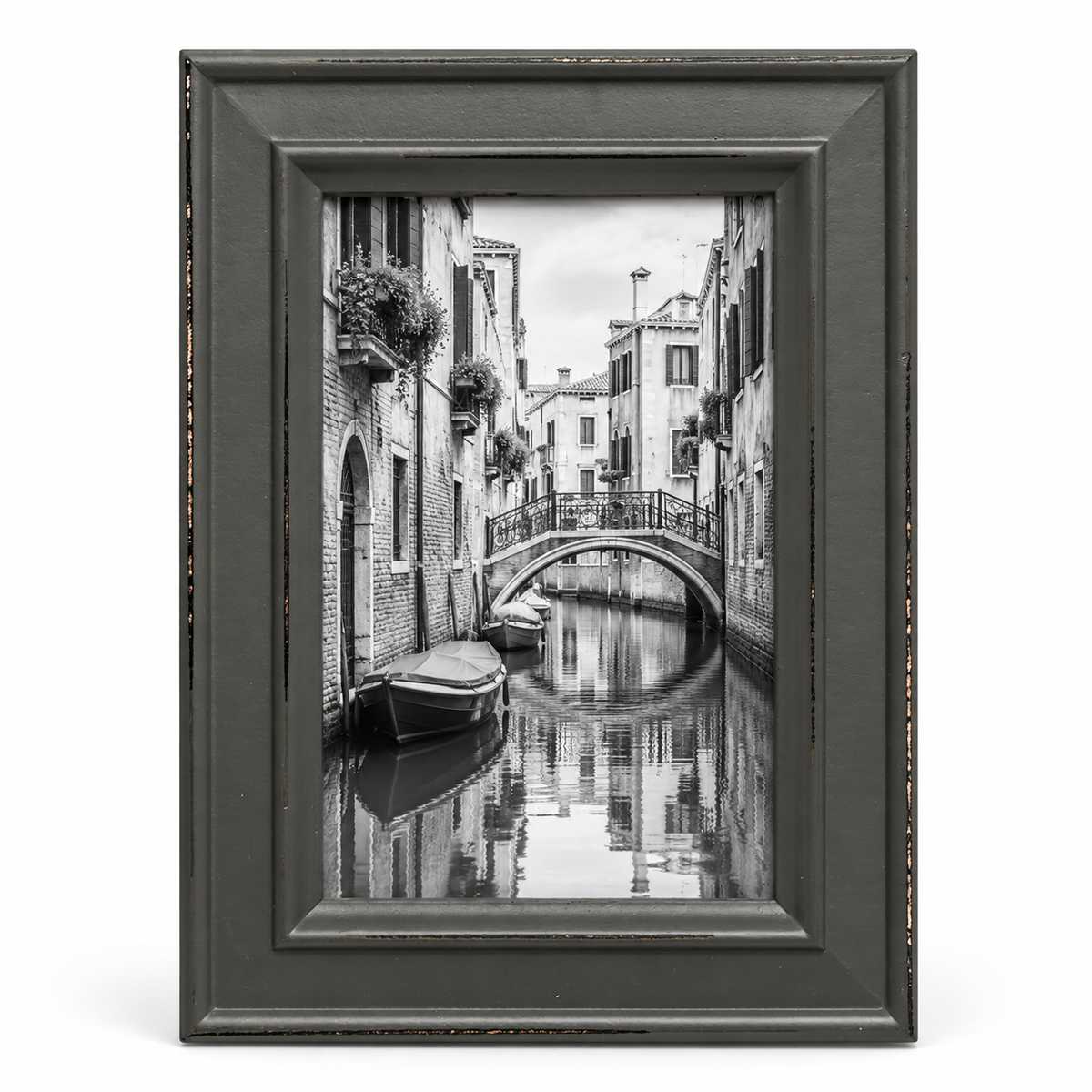 Paloma Distressed Shabby-Chic Framed Photo Print